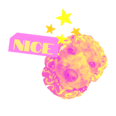 [LINEスタンプ] サイケなトイプードル、丼