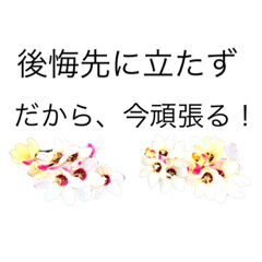 [LINEスタンプ] 後悔先に、、、