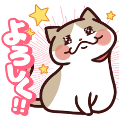 [LINEスタンプ] 漫画「ぼく、猫なんで」の日常お猫スタンプ