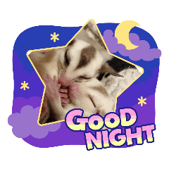 [LINEスタンプ] SugarGliderスタンプ