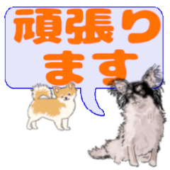 [LINEスタンプ] でか文字わんこ4 チワワの日常会話 犬の画像（メイン）
