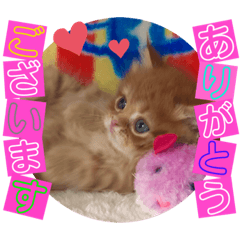 [LINEスタンプ] ねこまーち プリンセスクリスタル