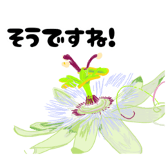 [LINEスタンプ] 美しいお花たち