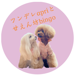 [LINEスタンプ] ツンデレapriと甘えん坊bingo