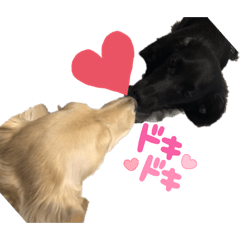 [LINEスタンプ] ロンメルandパピ–ルナ❤︎
