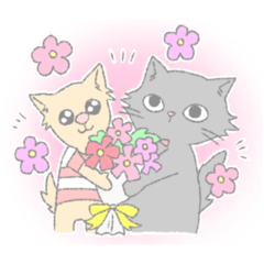 [LINEスタンプ] ねことチワワ neko to Chihuahua