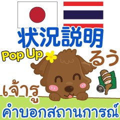 [LINEスタンプ] るぅ 状況説明 Pop-upタイ語日本語