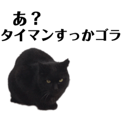 [LINEスタンプ] 超激怖動物軍歴代総長