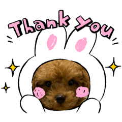 [LINEスタンプ] トイプードル（sea君）