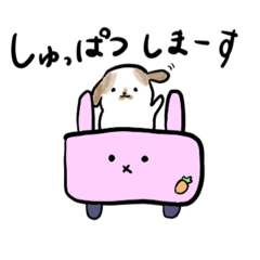 [LINEスタンプ] うさぎのホーランドロップちゃん3