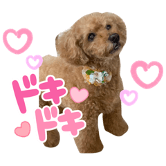[LINEスタンプ] チャッピーさんの日常