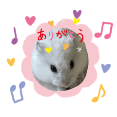 [LINEスタンプ] くるくるちゃんの日常3