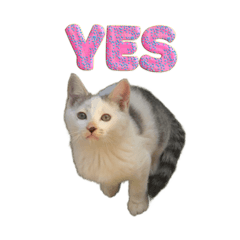 [LINEスタンプ] ながね家④