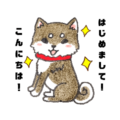 [LINEスタンプ] 柴犬さん達のグループラインスタンプ