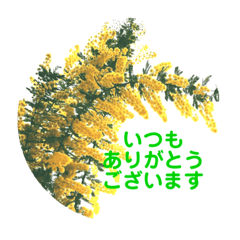 [LINEスタンプ] お庭の草花スタンプ
