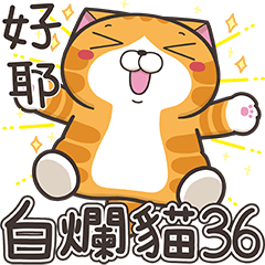 [LINEスタンプ] ランラン猫 36 (台湾版)