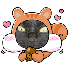 [LINEスタンプ] うちのねこのココ