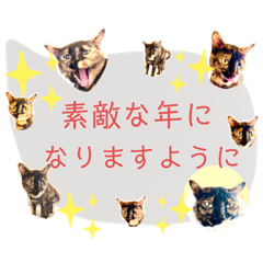 [LINEスタンプ] 40！サビ猫センちゃんの使いやすいスタンプ