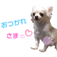 [LINEスタンプ] いちごとひめ