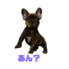 [LINEスタンプ] 黒アトム01