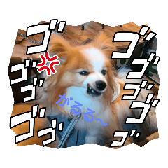 [LINEスタンプ] ぱぴぱぴパピヨン80