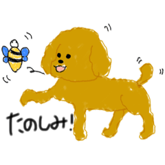 [LINEスタンプ] トイプードルのあーちゃん