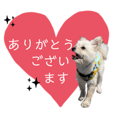 [LINEスタンプ] ポメプーのノア君