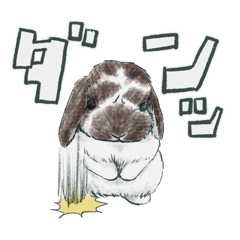 [LINEスタンプ] うさぎの茶々丸先生