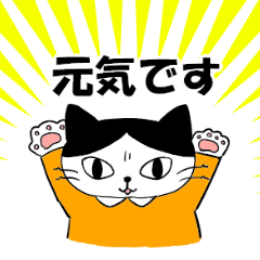 [LINEスタンプ] 生存確認をするハチワレねこ