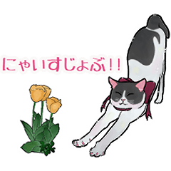 [LINEスタンプ] はちわれねことチューリップ