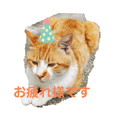 [LINEスタンプ] 幸せ猫茶太郎くん