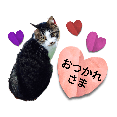 [LINEスタンプ] みーこ＆キャサリン