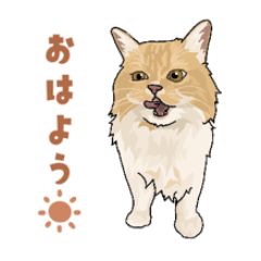 [LINEスタンプ] スコティッシュフォールド1