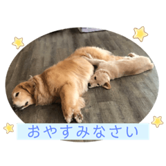 [LINEスタンプ] こはなとごろうのスタンプ
