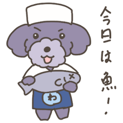 [LINEスタンプ] 料理犬トイプードル