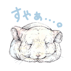 [LINEスタンプ] かわいいお顔あにまるず