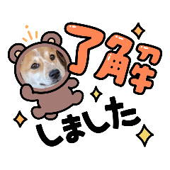 [LINEスタンプ] 保護犬 諭吉