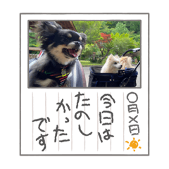 [LINEスタンプ] まめしーむぎ