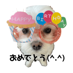 [LINEスタンプ] アルとリン