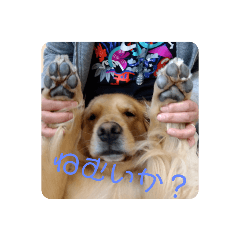 [LINEスタンプ] てんてんの日常〜Part4〜