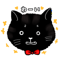 [LINEスタンプ] 丁寧でカワイイ猫スタンプⅡ