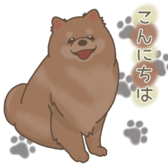 [LINEスタンプ] レッド ポメラニアン1