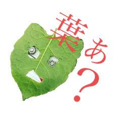 [LINEスタンプ] 葉っぱ氏