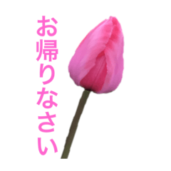 [LINEスタンプ] 春の町のチューリップ（文字あり）