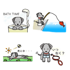 [LINEスタンプ] 黒ラブ life  ー真っ黒犬の休日 ー