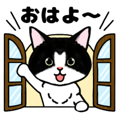 [LINEスタンプ] ハチワレにゃんにゃんの日常