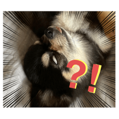 [LINEスタンプ] こよみ？？スタンプ