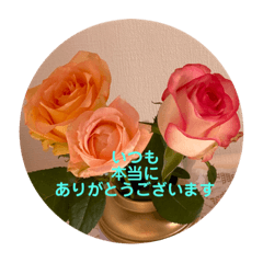 [LINEスタンプ] 私のありがとうです