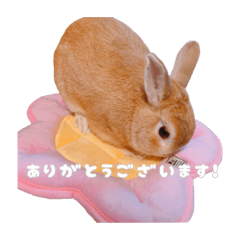 [LINEスタンプ] ネザーのみみちゃん3