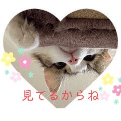 [LINEスタンプ] 可愛い優稀スタンプ